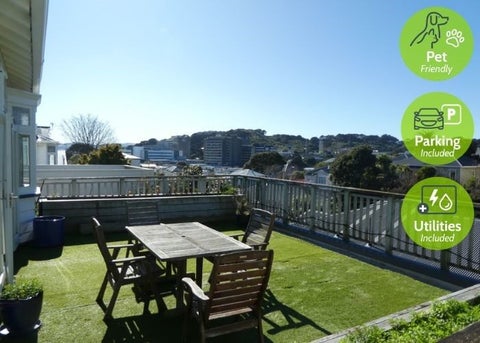 317 Adelaide Road, Newtown, Wellington