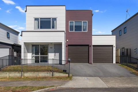 65 Tennille Street, Flagstaff, Hamilton