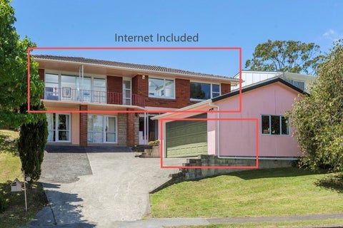 13 Hibiscus Place, Hillsborough, Auckland