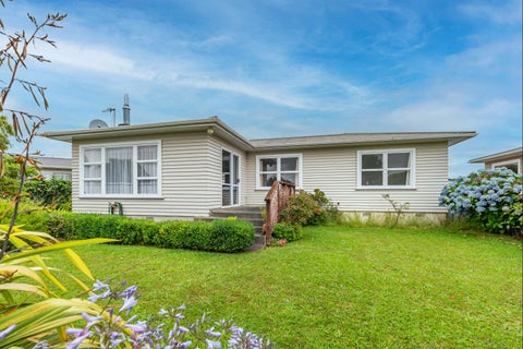 20 Braemar Street, Levin, Levin