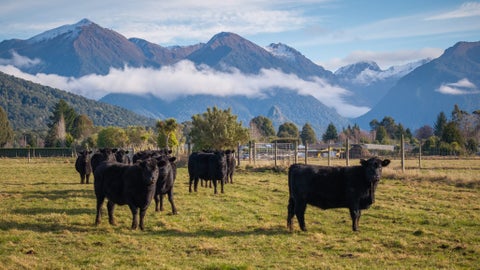 70 Hillside Manapouri Road, Manapouri, Manapouri
