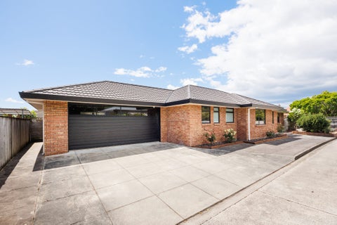 204 Vogel Street, Roslyn, Palmerston North