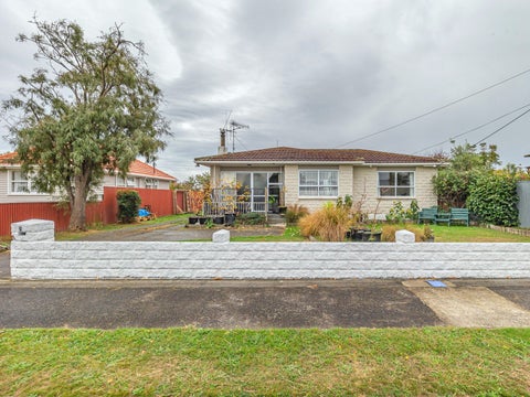 9 Beatty Street, Levin, Levin