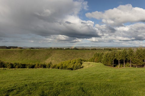 0 Bush Road, Turua, Turua