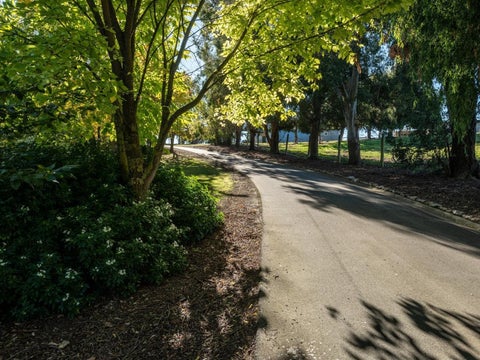 196 Chapman Road, Earnscleugh, Alexandra