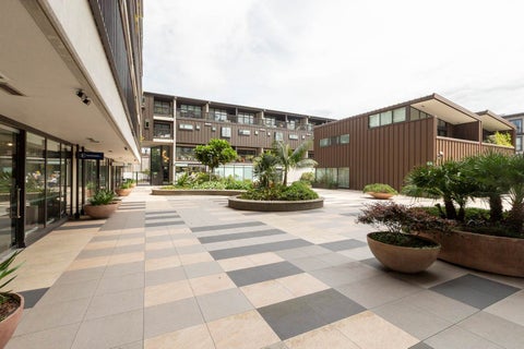 215/38 Khyber Pass Road, Grafton, Auckland