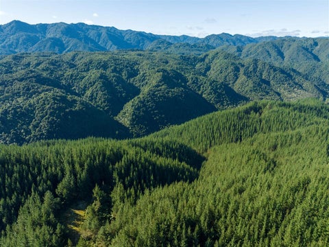 0 Taheke (Block Access) Road, Toatoa, Opotiki