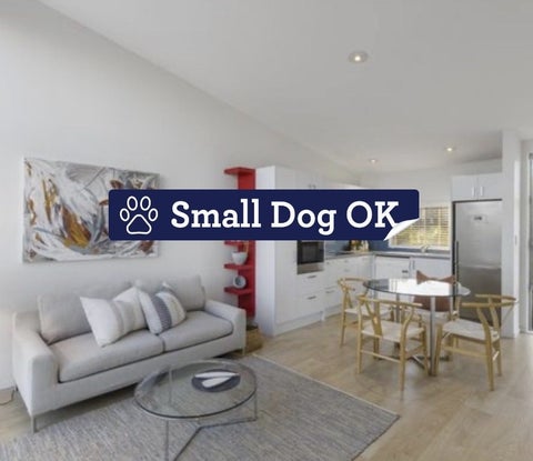 11H Gundry Street, Auckland Central, Auckland