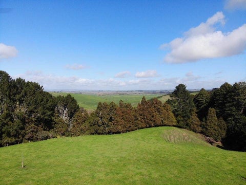 233 Hall Road, Rangiriri, Te Kauwhata