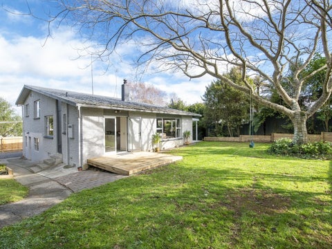 20A Gordon Place, Levin, Levin