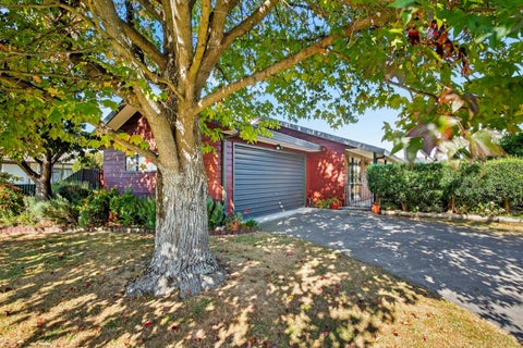 601 Beech Road, Akina, Hastings
