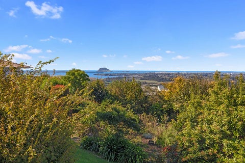 5 Dawn View Place, Minden, Tauranga