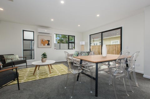55/1 Salisbury Street, LEVIN, Levin
