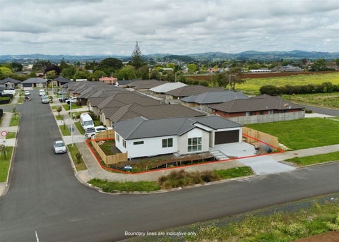20 Maxwell Road, Pukekohe, Pukekohe