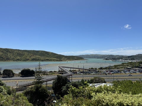 54 Papakowhai Road, Papakowhai, Porirua