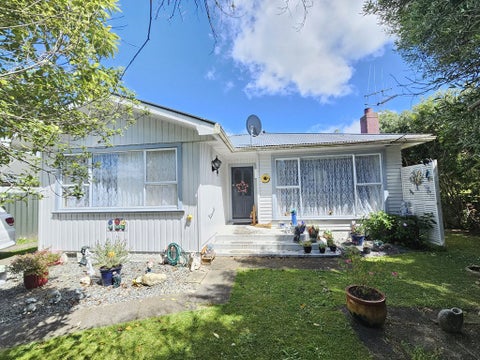 17 Edinburgh Street, Levin, Levin