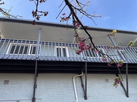 3 Rutland Street, Whanganui, Whanganui