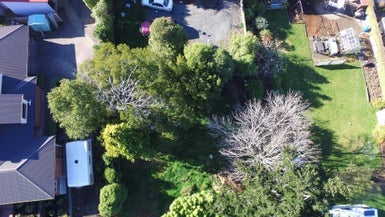 47A Hood Street, Wakari, Dunedin