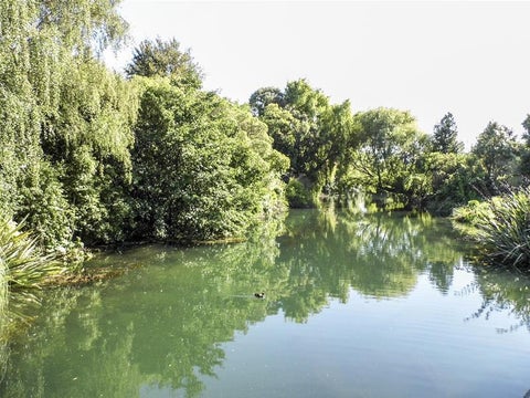 11A Dillons Point Road, Islington, Blenheim