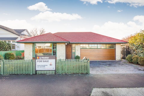 107 Roy Street, Palmerston North, Palmerston North