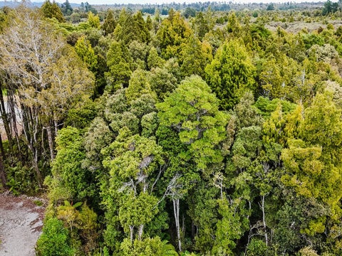 8 Harrison Place, Kumara Junction, Greymouth