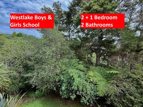 1/112 Coronation Road, Hillcrest, Auckland