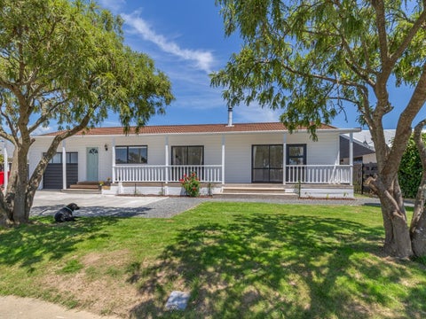 8 Homewood Avenue, Levin, Levin