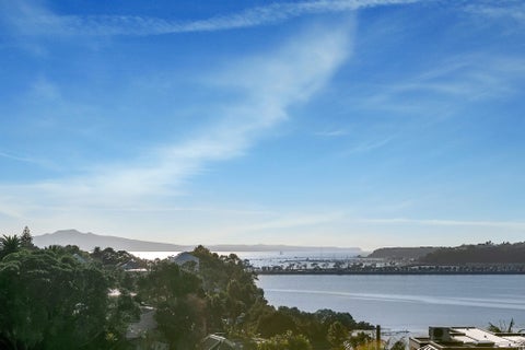 22A Tohunga Crescent, Parnell, Auckland