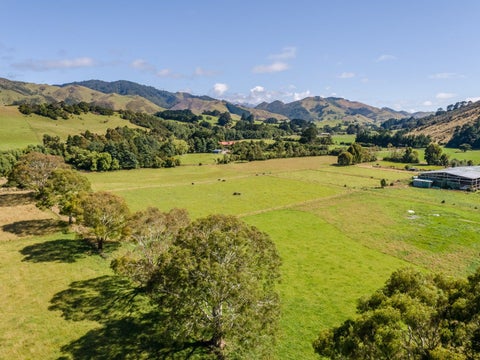 89 Hinau Gully Road, Carrington