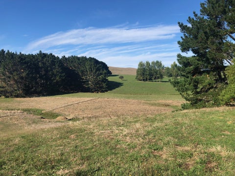3729 State Highway 23, Raglan, Raglan