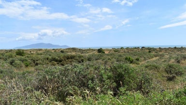 87 Puruaha Road, Te Horo