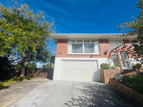 4 Catton Crescent, Mount Roskill, Auckland