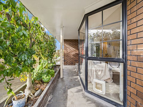 2/75 Moorhouse Street, Morrinsville, Morrinsville