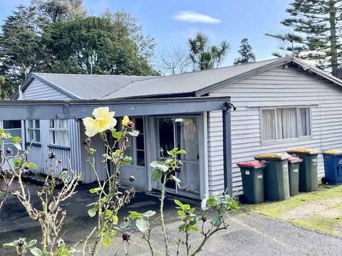 19 Golf Road, New Lynn, Auckland