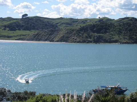 38 Lily Street, Raglan, Raglan