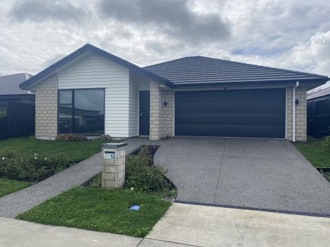 12 Harp Street, Morrinsville, Morrinsville