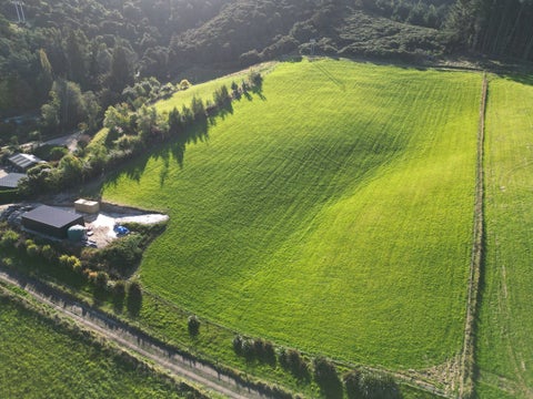250 Tirohanga Road, North Taieri, Mosgiel
