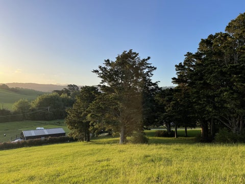19 Tamahunga Drive, Matakana, Matakana