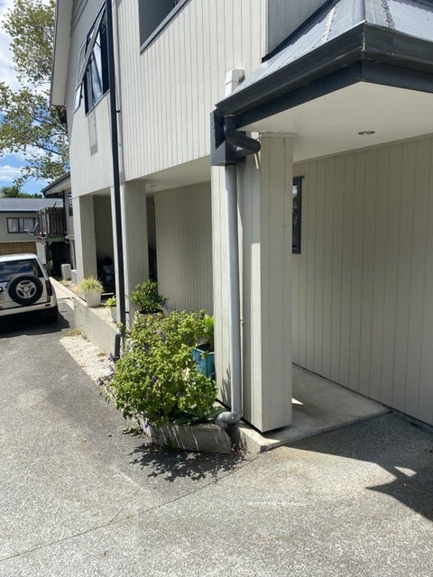 48 Tauhinu Road, Greenhithe, Auckland
