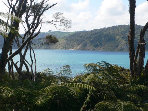98E Greenslade Road, Raglan