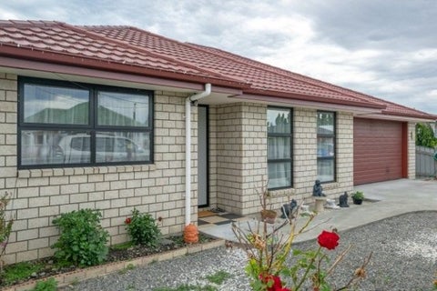17 Elzy Street, Blenheim