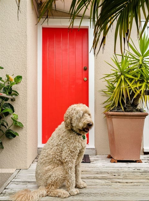1/94 Island Bay Road, Beach Haven, Auckland