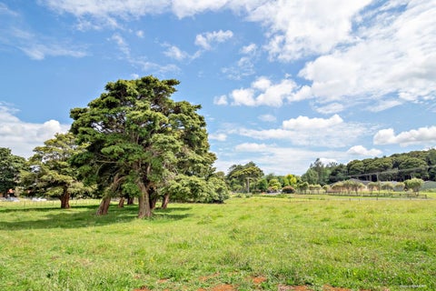 38 Kotuku Road, Waiuku