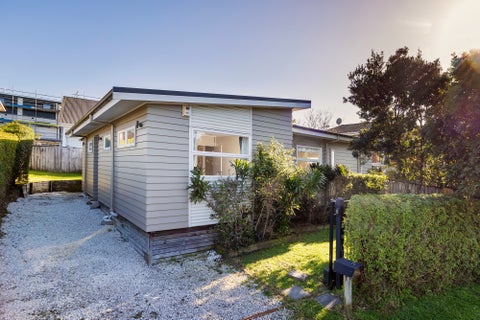 6 Counsel Terrace, Mount Albert, Auckland