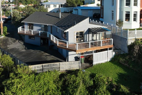 24 Coney Hill Road, Saint Clair, Dunedin