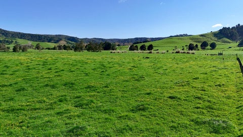 0 Matakana Valley Road, Matakana, Matakana