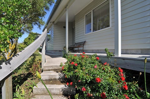 16A Colville Street, Newtown, Wellington