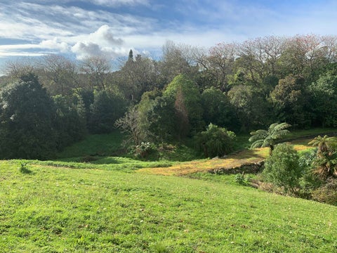 45A Blue Gum LANE, Kerikeri, Kerikeri