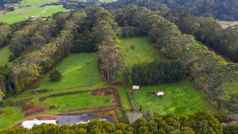 629B Tara Road, Mangawhai