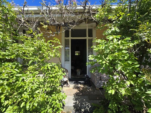 13 Seddon Street, Cheviot, Cheviot